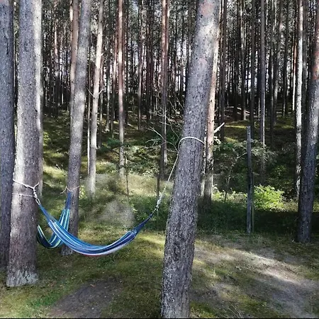 Near Sea & Pine Forest Дом отдыха Рига