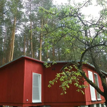 Near Sea & Pine Forest Дом отдыха *
