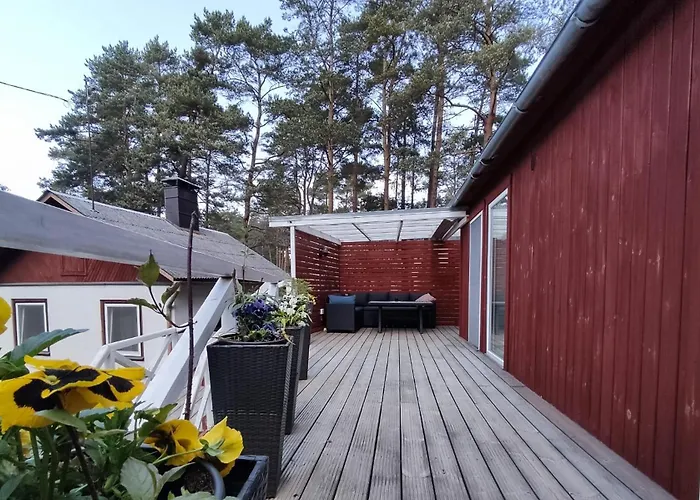 Near Sea & Pine Forest *