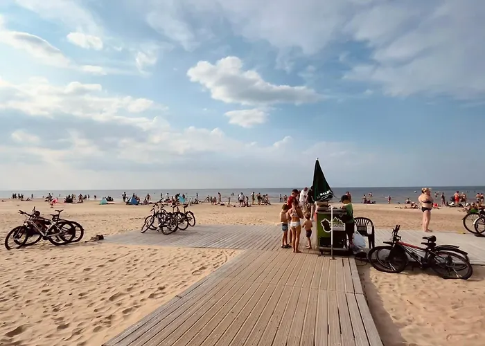 Near Sea & Pine Forest