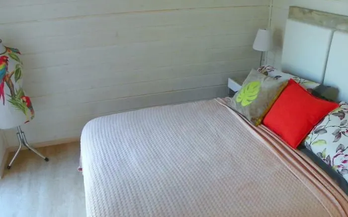 Near Sea & Pine Forest * Riga