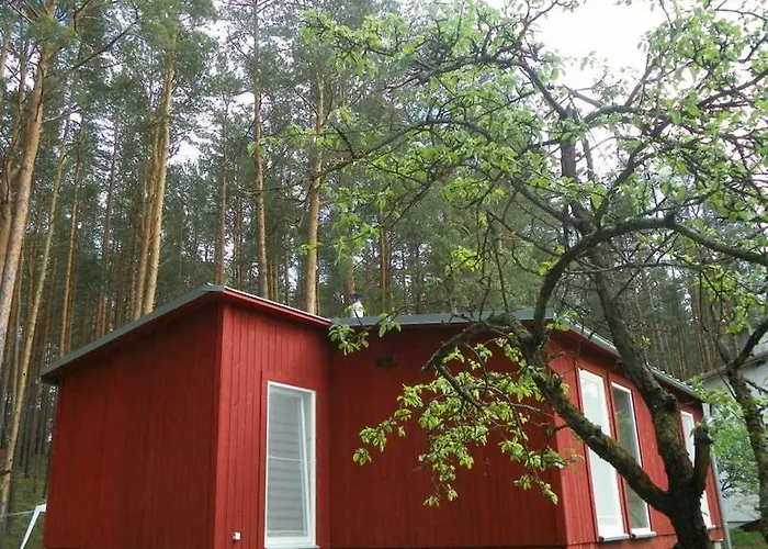 Near Sea & Pine Forest Holiday home *