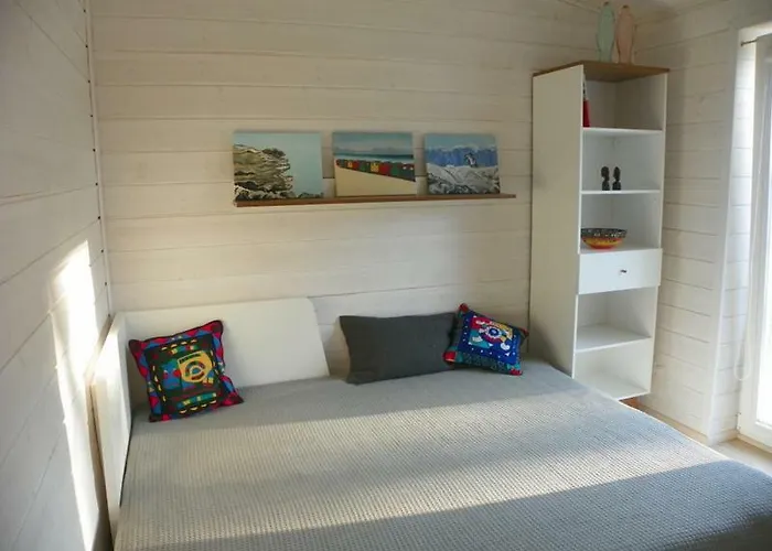 Near Sea & Pine Forest *